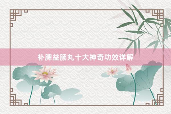 补脾益肠丸十大神奇功效详解